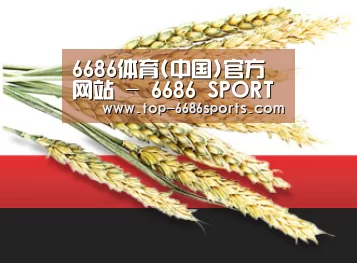 6686体育(中国)官方网站 - 6686 SPORTS