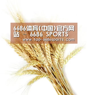 6686体育(中国)官方网站 - 6686 SPORTS
