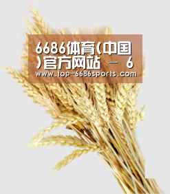 6686体育(中国)官方网站 - 6686 SPORTS